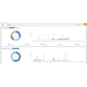 Application visibility and web content filtering