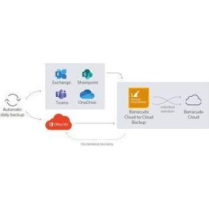 Cloud-to-Cloud Backup