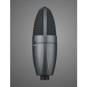 BETA 27 Instrument Microphone