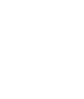 Secure Icon
